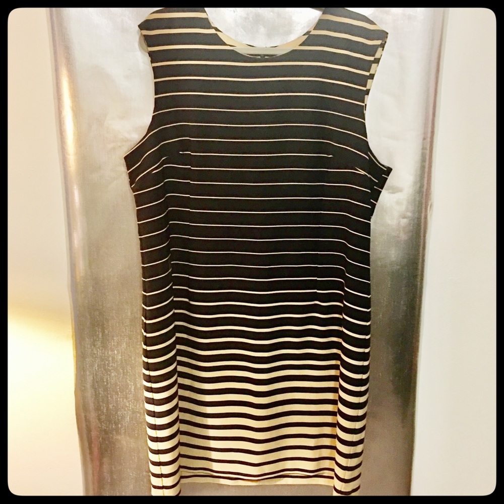 Ile Midi Plus Sized Dress